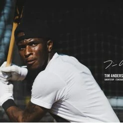 Victus Tim Anderson TA7 Birch Pro Reserve -Easton Sales TA7 0