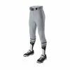 Evoshield Salute Men’s Knicker Baseball Pants – Grey -Easton Sales products wb6000502 1